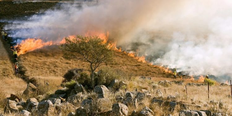 Risque incendie : limitation de l’accès et de la circulation dans les massifs forestiers du Sud du département ce jeudi 27 août