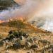 Risque incendie : limitation de l’accès et de la circulation dans les massifs forestiers du Sud du département ce jeudi 27 août