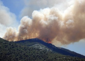 Risque incendie : les massifs des Monts de Vaucluse, du Luberon et de Basse Durance en accès limité mardi 18 août
