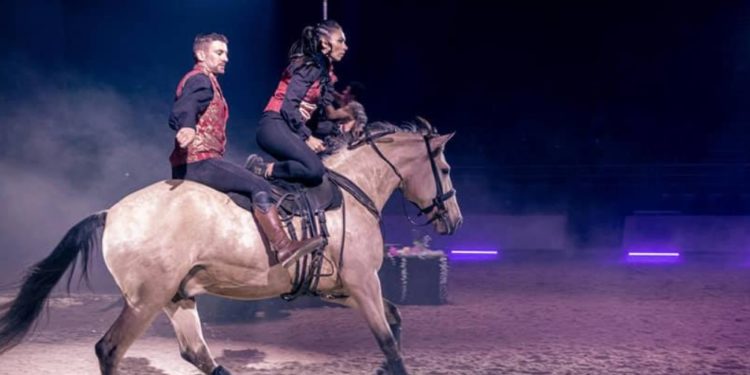 Apt : une soirée équestre aux Ecuries IRSEA