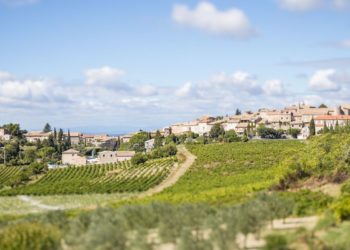 Les vignobles de la Vallée du Rhône mis en lumière par trois influenceurs
