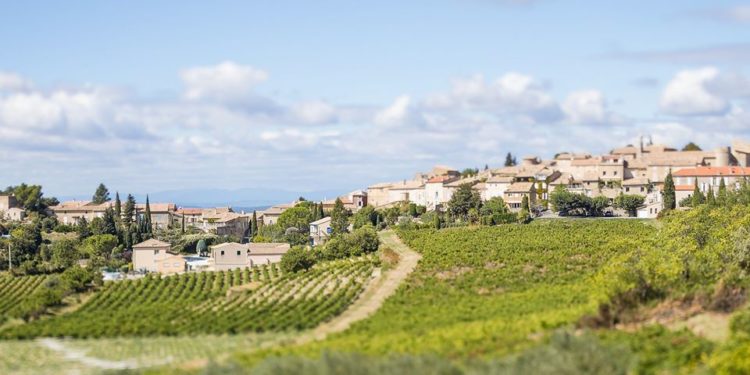 Les vignobles de la Vallée du Rhône mis en lumière par trois influenceurs