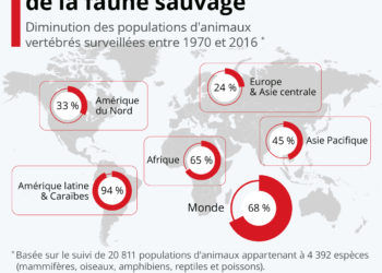L&rsquo;effondrement mondial de la faune sauvage
