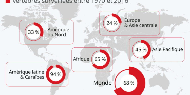 L’effondrement mondial de la faune sauvage