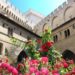 Les jardins du Palais des papes se couvrent de mille et une roses