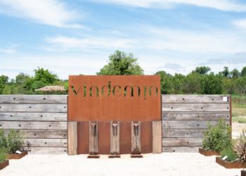 Mazan : un afterwork en immersion dans l’appellation Ventoux