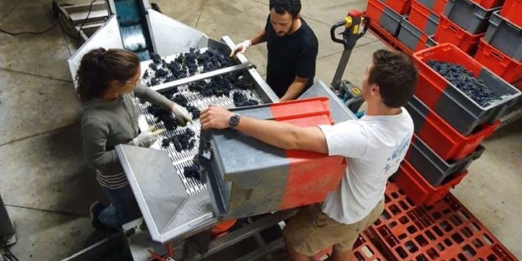 Pertuis : Pellenc lance des formations pour recruter des monteurs-assembleurs