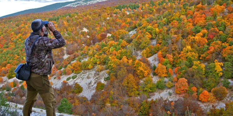 Sorgues : la nature sauvage du Ventoux dans l’objectif de Nicolas Ughetto