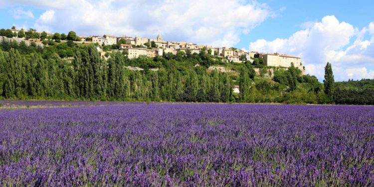Festival Ventoux saveurs : 14e fête des saveurs d’automne à Sault