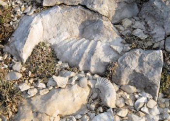 Le Toulourenc : sur les chemins de la géologie