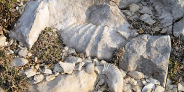 Le Toulourenc : sur les chemins de la géologie