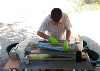 Caderousse : dernière campagne de marquage des anguilles par la CNR