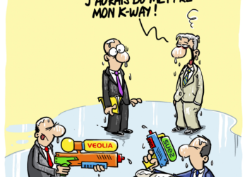 La volonté de rachat de Suez par Véolia vu par Wingz pour l’Echo du Mardi