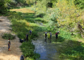 Goult : les lycéens arrachent 700 kg de jussie