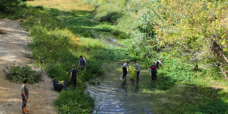 Goult : les lycéens arrachent 700 kg de jussie