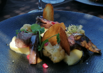 Caseneuve : à la découverte du ‘Sanglier paresseux’