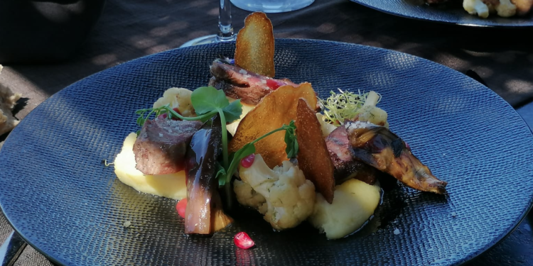 Caseneuve : à la découverte du ‘Sanglier paresseux’