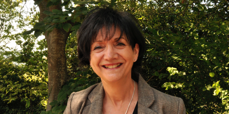 Vaucluse, le Conseil départemental propose aux élus la visite de logements abordables