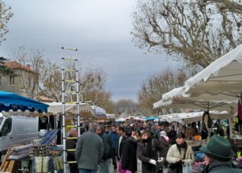 Carpentras : annulation de la foire de la Saint-Siffrein