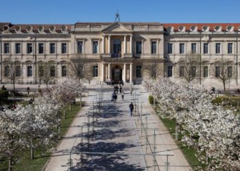 L’université d’Avignon réduit sa jauge de 50%