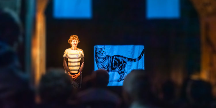 Avignon : ‘Des voix dans la tête’, un impromptu scientifique à découvrir à l’Ardenome