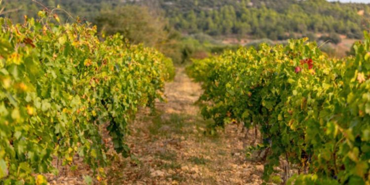 Safer Paca : Non au détournement de la cession de foncier