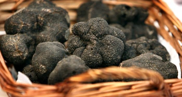 Carpentras : l’ouverture du marché de la truffe reporté