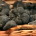 Carpentras : l’ouverture du marché de la truffe reporté