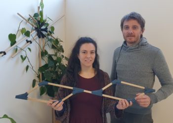 Avignon : ‘Y-LYX’ met du vert dans votre décoration d’intérieur