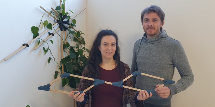 Avignon : ‘Y-LYX’ met du vert dans votre décoration d’intérieur