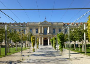 Six projets de l’université d’Avignon retenus par l’agence nationale de recherche