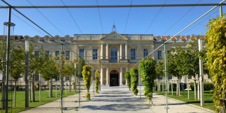 Six projets de l’université d’Avignon retenus par l’agence nationale de recherche