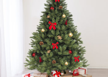 Les Vauclusiens vont pouvoir acheter leur sapin de Noël