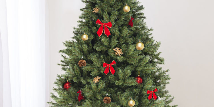 Les Vauclusiens vont pouvoir acheter leur sapin de Noël