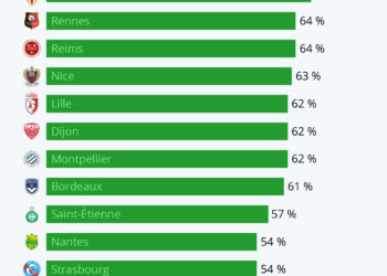 Droits TV : quel poids dans les finances des clubs de L1 ?