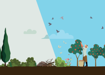 LMV veut préserver ses terres agricoles