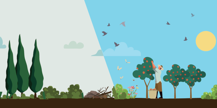 LMV veut préserver ses terres agricoles