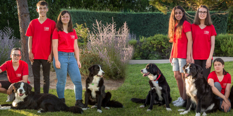 Fondation Frédéric Gaillanne : ses chiens sont les yeux des enfants aveugles