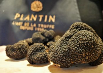 Puyméras : la truffe fait son show à l’Institut Plantin
