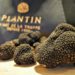Puyméras : la truffe fait son show à l’Institut Plantin