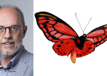 Expertise comptable et audit : Axiome Provence change de dirigeants