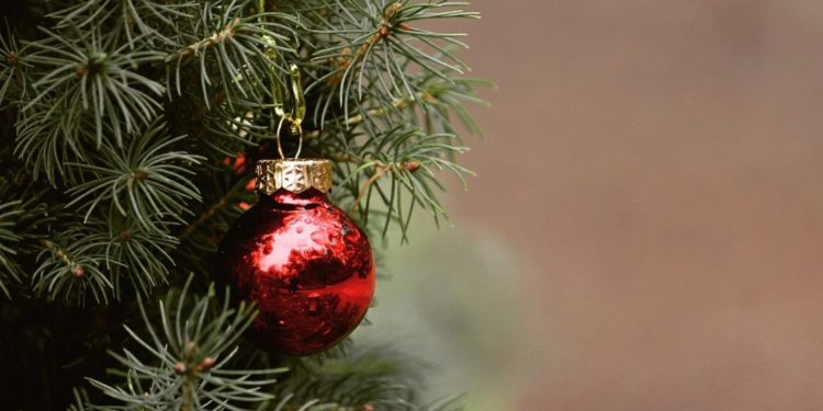 Cavaillon : la collecte de sapins de Noël reconduite cette année