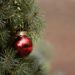 Cavaillon : la collecte de sapins de Noël reconduite cette année