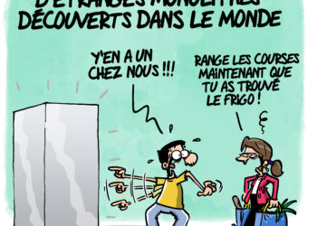 D’étranges monolithes vu par Wingz pour l’Echo du Mardi