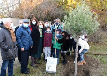 Avignon : deux oliviers plantés pour la journée de la laïcité