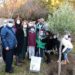 Avignon : deux oliviers plantés pour la journée de la laïcité