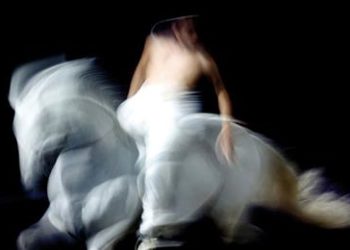 Avignon, Cheval passion et les Crinières d’or ouvrent leur billetterie