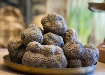 Saint-Paul-Trois-Châteaux : ouverture du marché de la truffe noire drômoise
