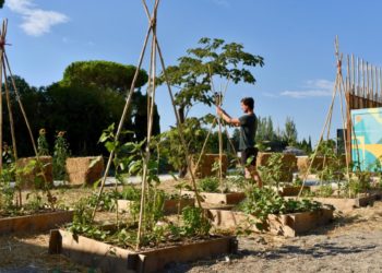 Le Grand Avignon désigné lauréat de l’appel à projets ‘Quartiers fertiles’