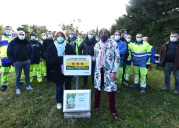 Environnement : Avignon décroche une troisième fleur